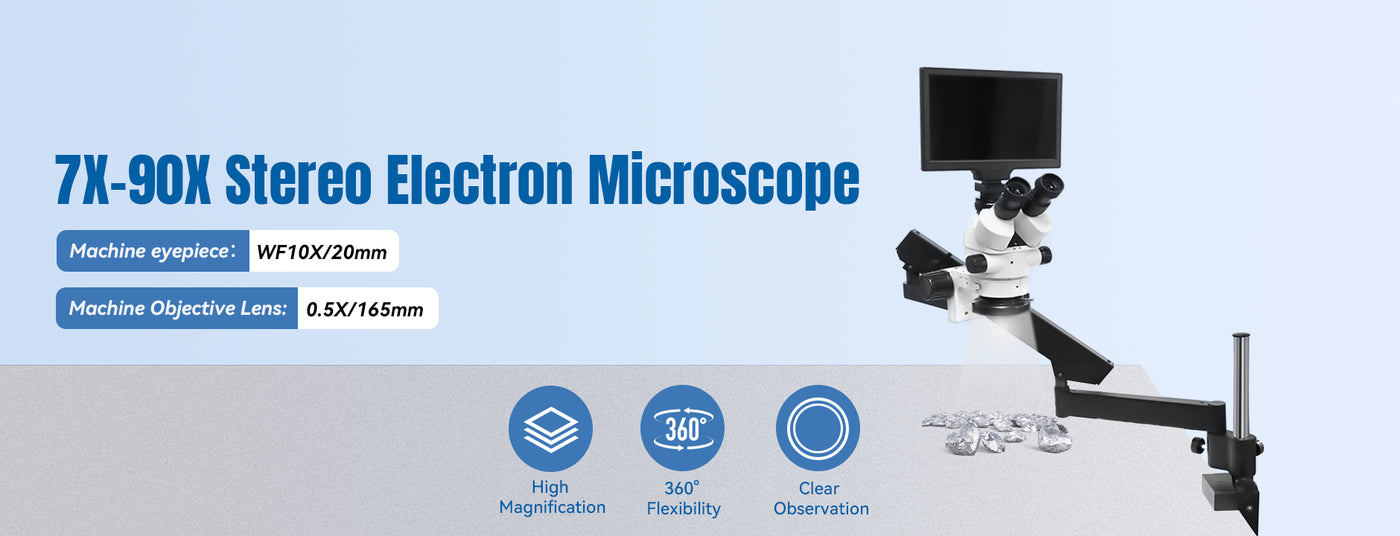 Stereo Microscope