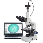 Trinocular compound microscope