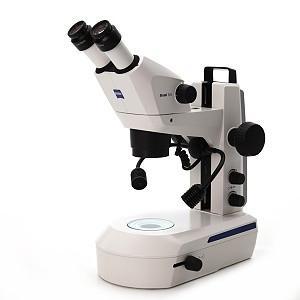 Stereo zoom microscope