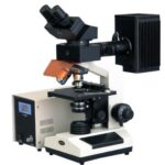 Binocular compound microscope