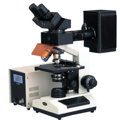 Binocular compound microscope
