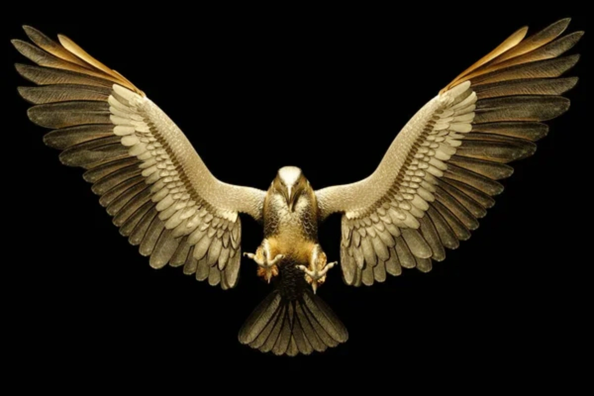Carve Realistic Eagle Feathers Without Making Them Look Artificial